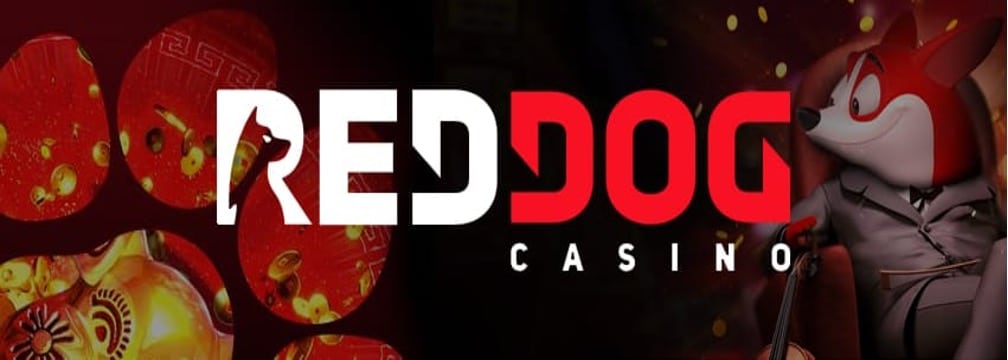 red dog casino এর অনলাইন গেমিং রোমাঞ্চ প্রকাশ করা